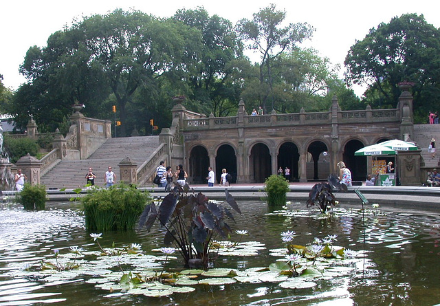 NYC Central Park 3685a