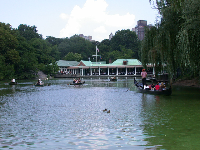 NYC Central Park 3684