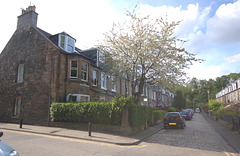 Avondale Place, Glenogle Road, Edinburgh