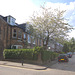 Avondale Place, Glenogle Road, Edinburgh