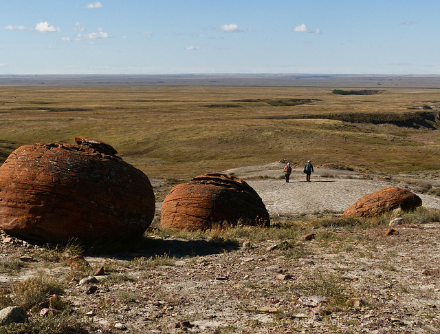 Landscape of Red Rock Coulee