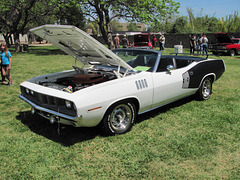1971 Plymouth 'Cuda Convertible