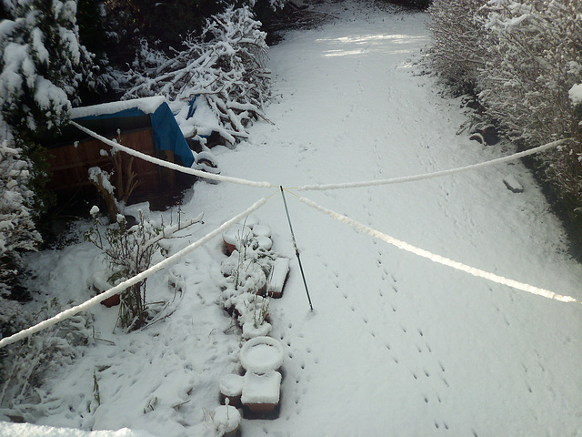 View from the bathroom in 2011 snow