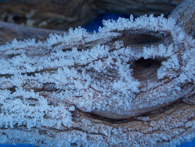 Frost patterns on a piece of wood