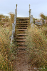 Stairway to Heaven? Findhorn Beach