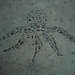 Pulpo de acera / Sidewalk octopus / Pieuvre de trottoir.