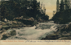 Rapids, Musquosh River, Muskoka (100,979)