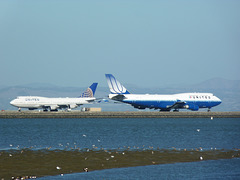 Two United Liveries at SFO - 16 November 2013