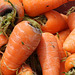 Stubby carrots