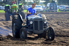 Oldtimerfestival Ravels 2013 – Massey-Ferguson tractor