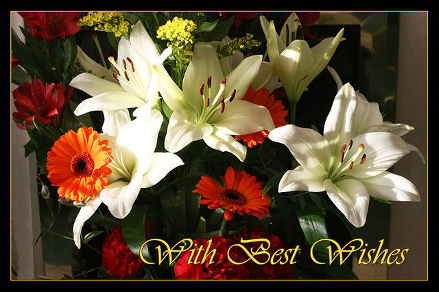 Bouquet - 13.11.2013 - With Best Wishes