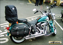 2009 Harley-Davidson FLSTC Heritage Softail - D3 TPM