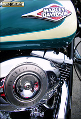 2009 Harley-Davidson FLSTC Heritage Softail - D3 TPM