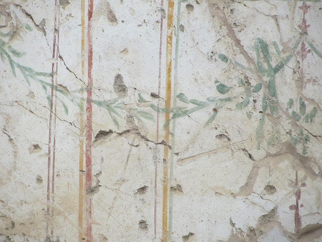 Fresco detail. Interior views of the "terrace houses," houses of wealthy citizens that are undergoing restoration.