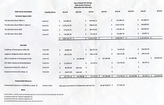 DHS Debt Service Payments 0913-0615