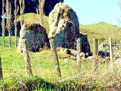 Rocks near Tokoroa