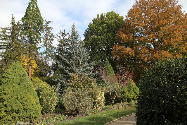 Jardin Vinay en automne (4)