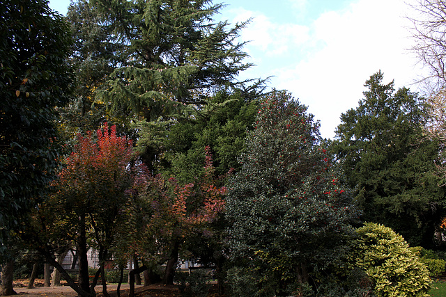 Jardin Vinay en automne (5)