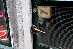 Bird door handle