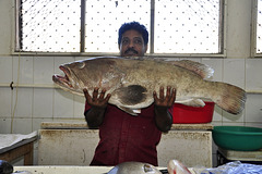 Fischmarkt in Ras Al Khaimah