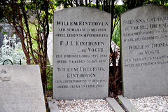 Grave of Willem Einthoven