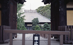A temple in Kawagoe