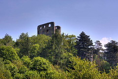Valečov Castle
