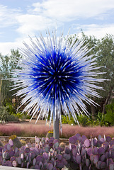 Dale Chihuly returns to the Botanical Garden