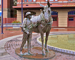 A Boy and his Mule – Railway Station, Cumberland, Maryland