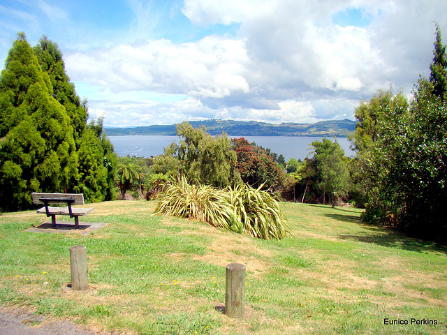 A view of Lake Taupo