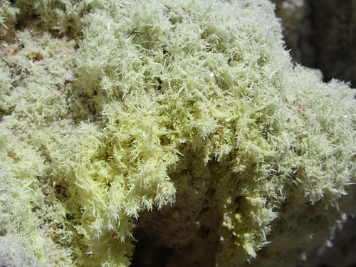 Crystals of Sulphur