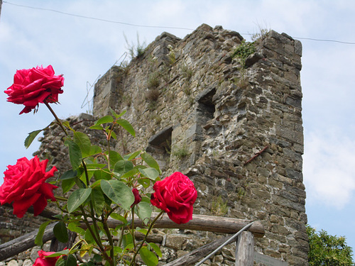 Ruined Tower, Sommocolonia