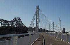 SF Bay Bridge (1081)