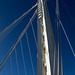 SF Bay Bridge (1083)