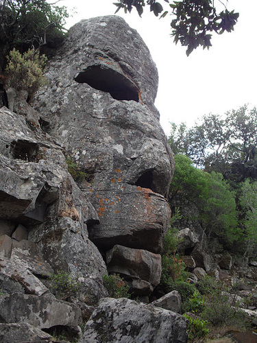 Face in a Rock