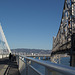 SF Bay Bridge (1089)