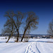 #8  The last snow of the winter - Der letzte Schnee des Winters (000°)