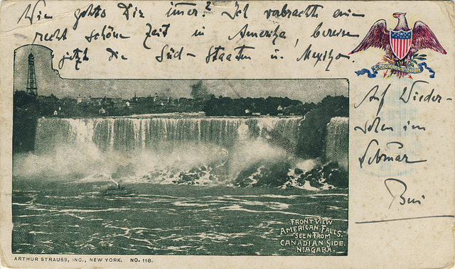 Front View, American Falls