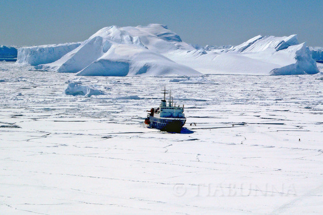 'Parked' in Antarctic Sea Ice