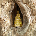 ...and a Buddha in a pear tree...