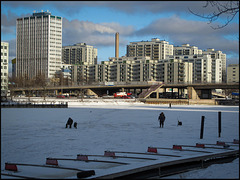 ice fishing in the city