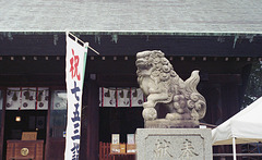 Guardian dog and a banner flag