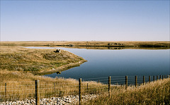 Pine Coulee Reservoir 00 20101017