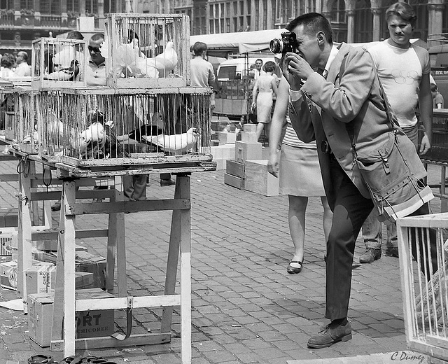 Marché aux oiseaux Marché aux oiseaux