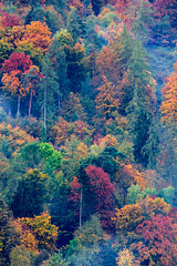 Colors of Fall - Herbstfarben II (225°)