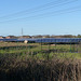 Solar Farm (3) - 11 January 2014