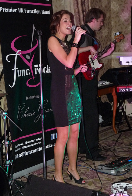 Cherie Gears- Lead Singer with 'Func on the Rocks'