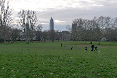 grueneburgpark-1180004