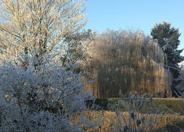 Frosty Landscape at Ledbury