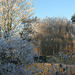 Frosty Landscape at Ledbury